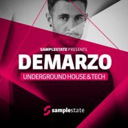 Samplestate-Demarzo-Underground-House-Tech.jpg