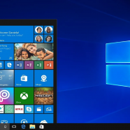 Windows 10 Pro OEM screen.png