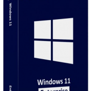 Windows 11 Enterprise 24H2 .png