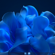Windows 11 22H2 Pro X-Lite screen.png