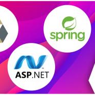 Spring Framework and Hibernate with ASP.NET MVC Course.jpg