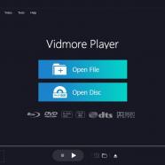 Vidmore Player screen.jpg