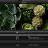 screen800x500 (1).jpeg