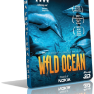 imax wild ocean 3d mkv.png