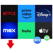 Pazu StreamGet All-In-One Video Downloader.png
