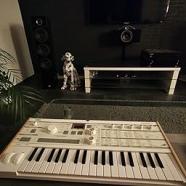 KORG microKORG.jpg