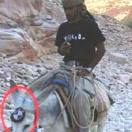 bmw pachistana.jpg