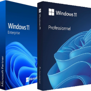 Windows 11 Pro_Ent.png