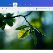 GiliSoft Image Watermark Master screen.jpg