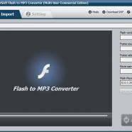 ThunderSoft Flash to MP3 Converter screen.jpg