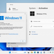 Windows 11 Pro_Ent sc2.png
