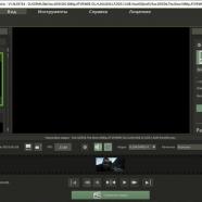 Franzis ZOOM Video #2 sc.jpg