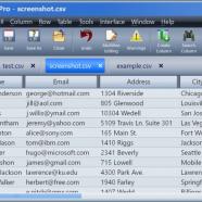 Gammadyne CSV Editor screen.jpg