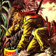 cover.png
