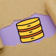 Fundamentals of Database Engineering.jpg