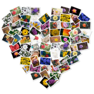 FigrCollage.png