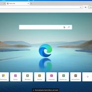 Microsoft Edge screen.jpg