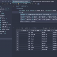 JetBrains DataGrip screen.png