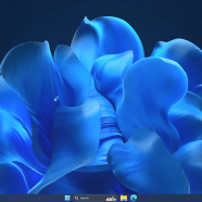Windows 11 22H2 Pro X-Lite screen.png