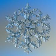 Snowflake - Build & Architect Data pipelines using AWS.jpg