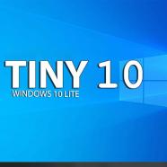 tiny10 sc.jpg