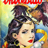 cover.png