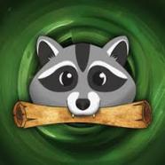 Raccoon.jpg