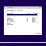 Windows 11 24H20.png