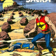 cover.png