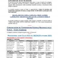 C.U.25-S.G.S.Campania-4-7_page-0001.jpg