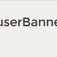 bug.PNG