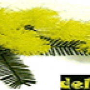 auguri_Donne_converted.png