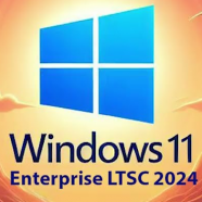 Windows 11 Enterprise 2024.png