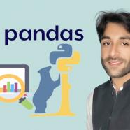 The Pandas Bootcamp Data Analysis with Pandas Python3.jpg