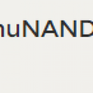 bug2.PNG