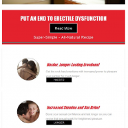 erect.PNG