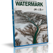 water.png