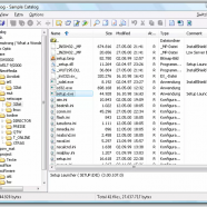 EF File Catalog screen.png