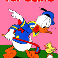 cover.png