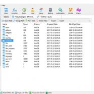 Navicat for MySQL screen.jpg