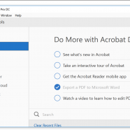 Adobe Acrobat Pro DC screen.png