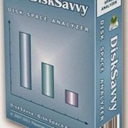 Disk Savvy Pro.jpg