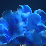 Windows 11 23H2 micro sc.png