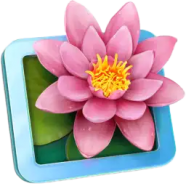 LilyView.png