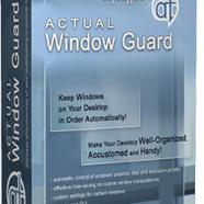 Actual Window Guard.jpg