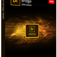 Adobe Bridge.png
