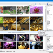 3delite Video File Browser screen.png