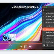 Elmedia Video Player Pro macOS sc.png