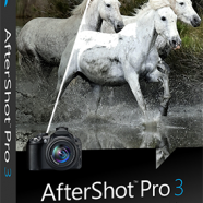 Senza titolo-1.png