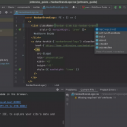 JetBrains WebStorm screen.png